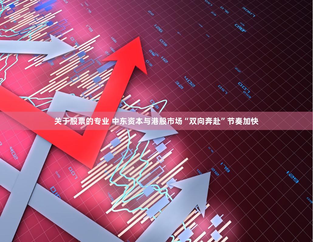 关于股票的专业 中东资本与港股市场“双向奔赴”节奏加快