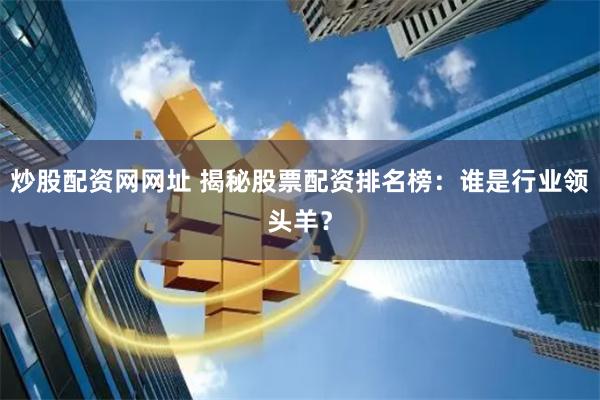 炒股配资网网址 揭秘股票配资排名榜：谁是行业领头羊？