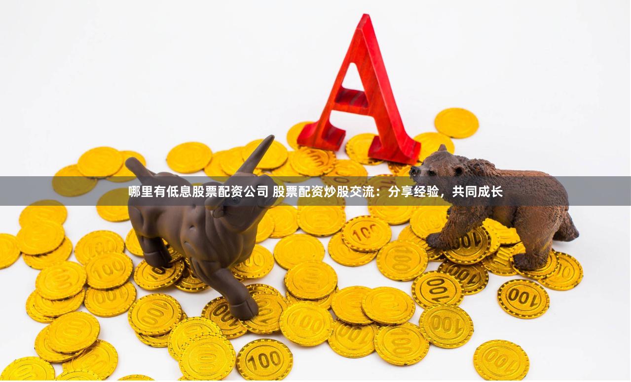 哪里有低息股票配资公司 股票配资炒股交流：分享经验，共同成长