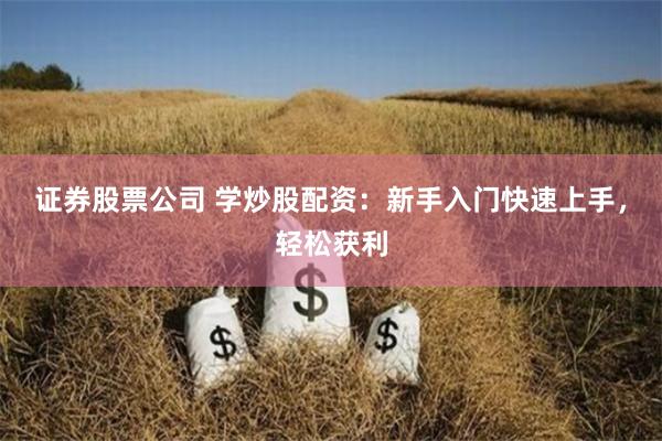 证券股票公司 学炒股配资：新手入门快速上手，轻松获利